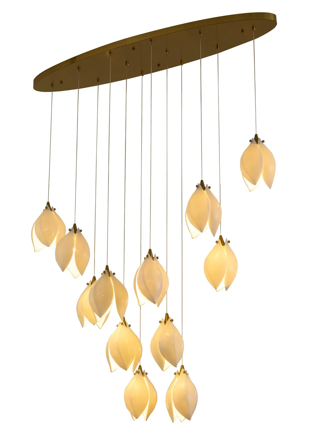 12 Light Chandelier ZA44C48BR