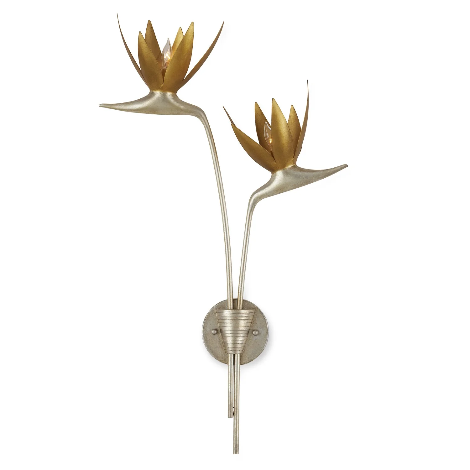 Paradiso Wall Sconce