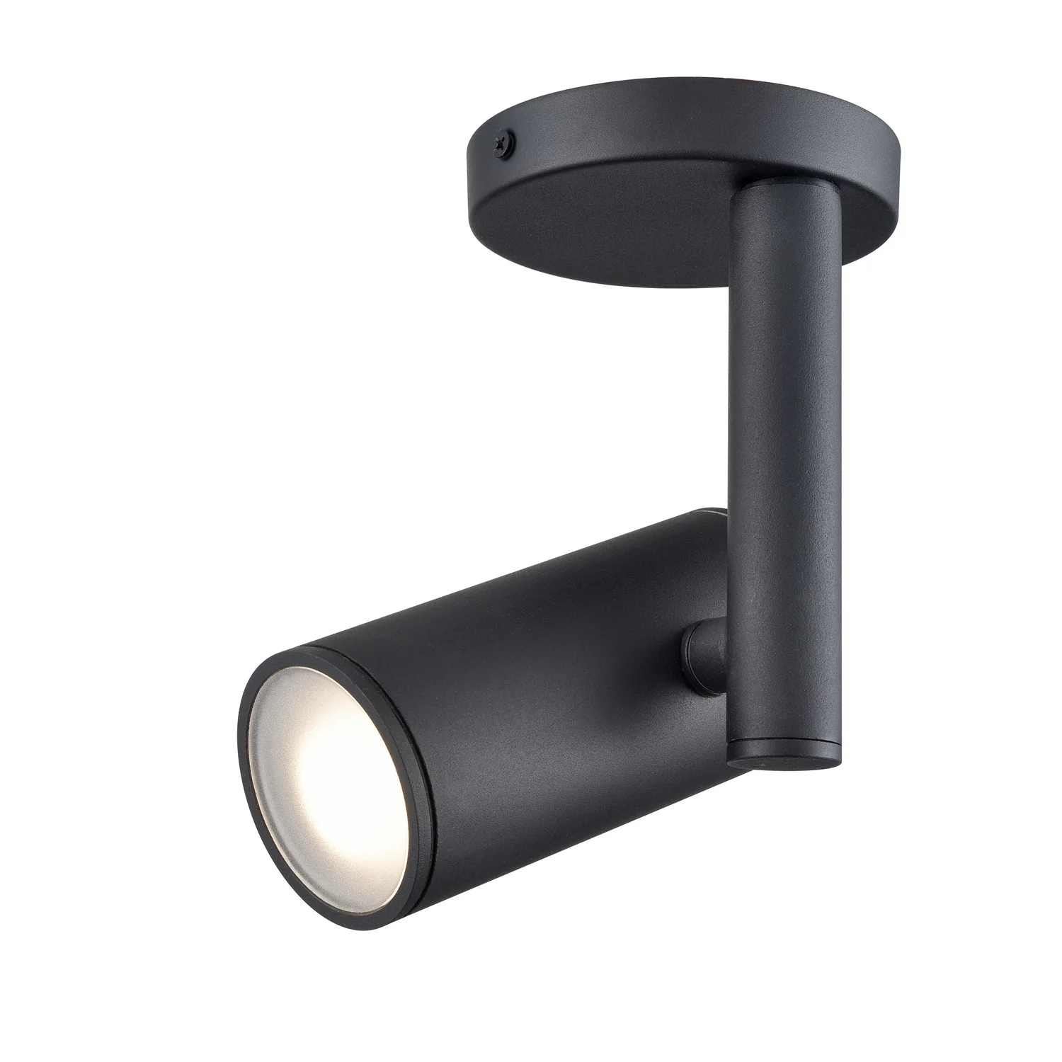 Pond Inlet Outdoor Ceiling Mount
