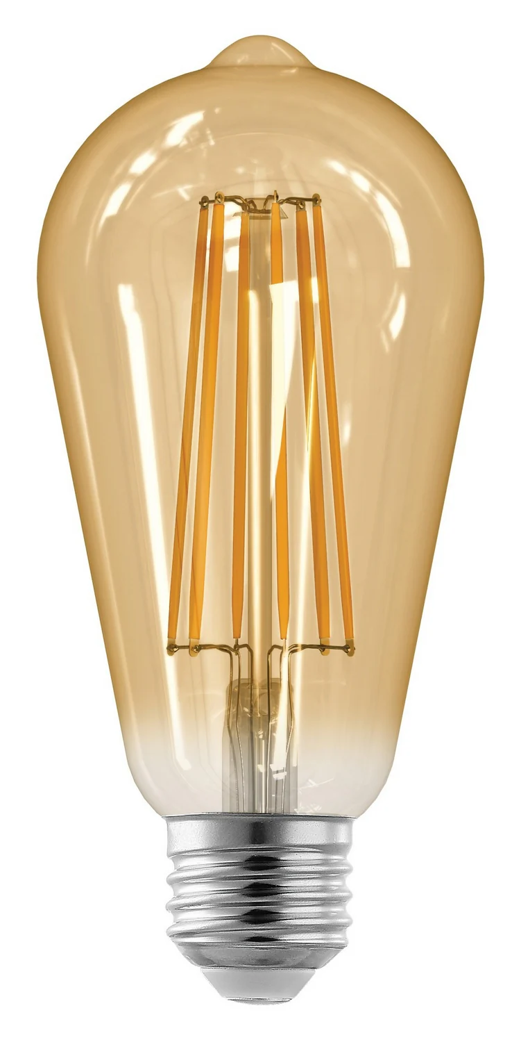 ST21 LED Bulbs