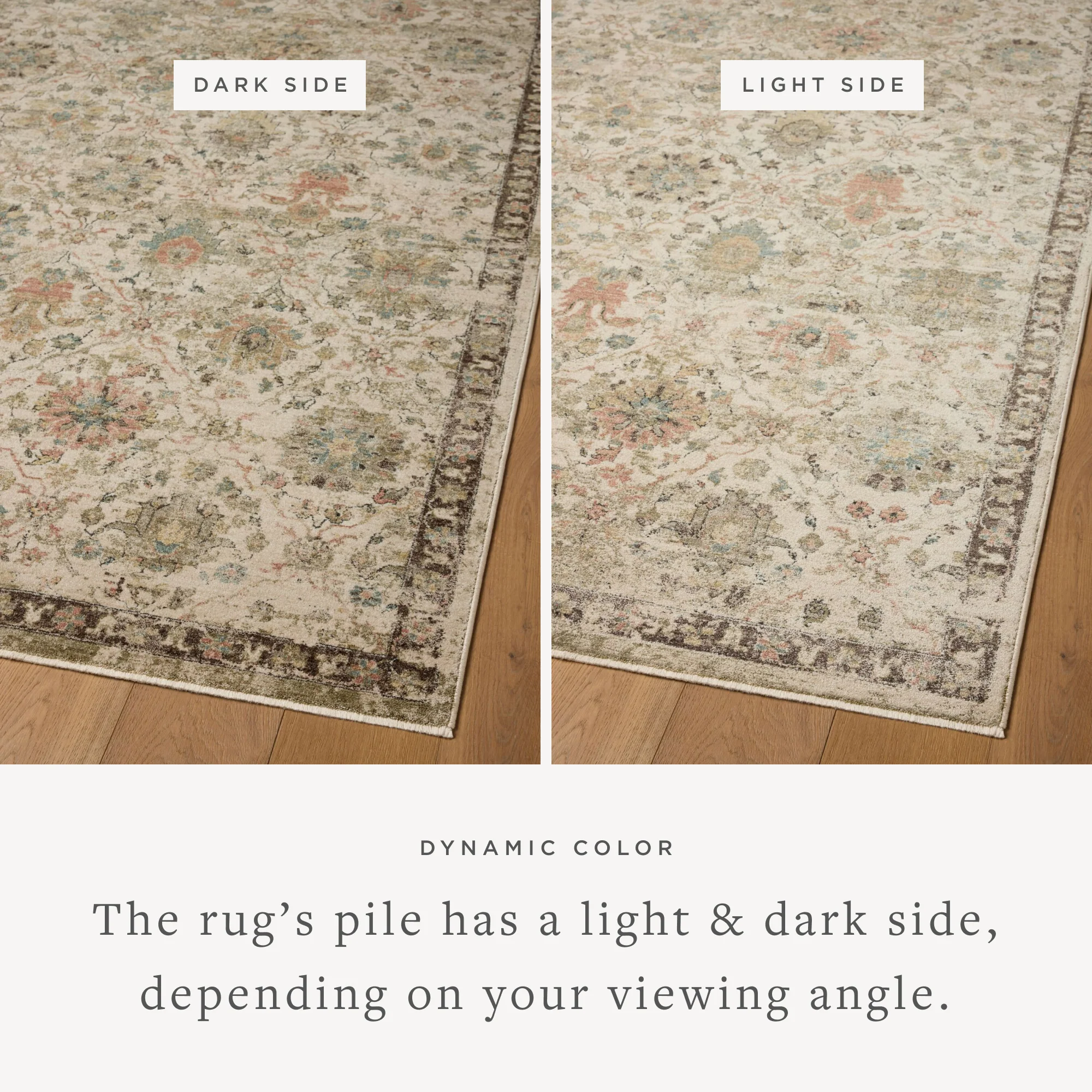Briar Ivory / Multi Rug (BRR-04) - Image 3