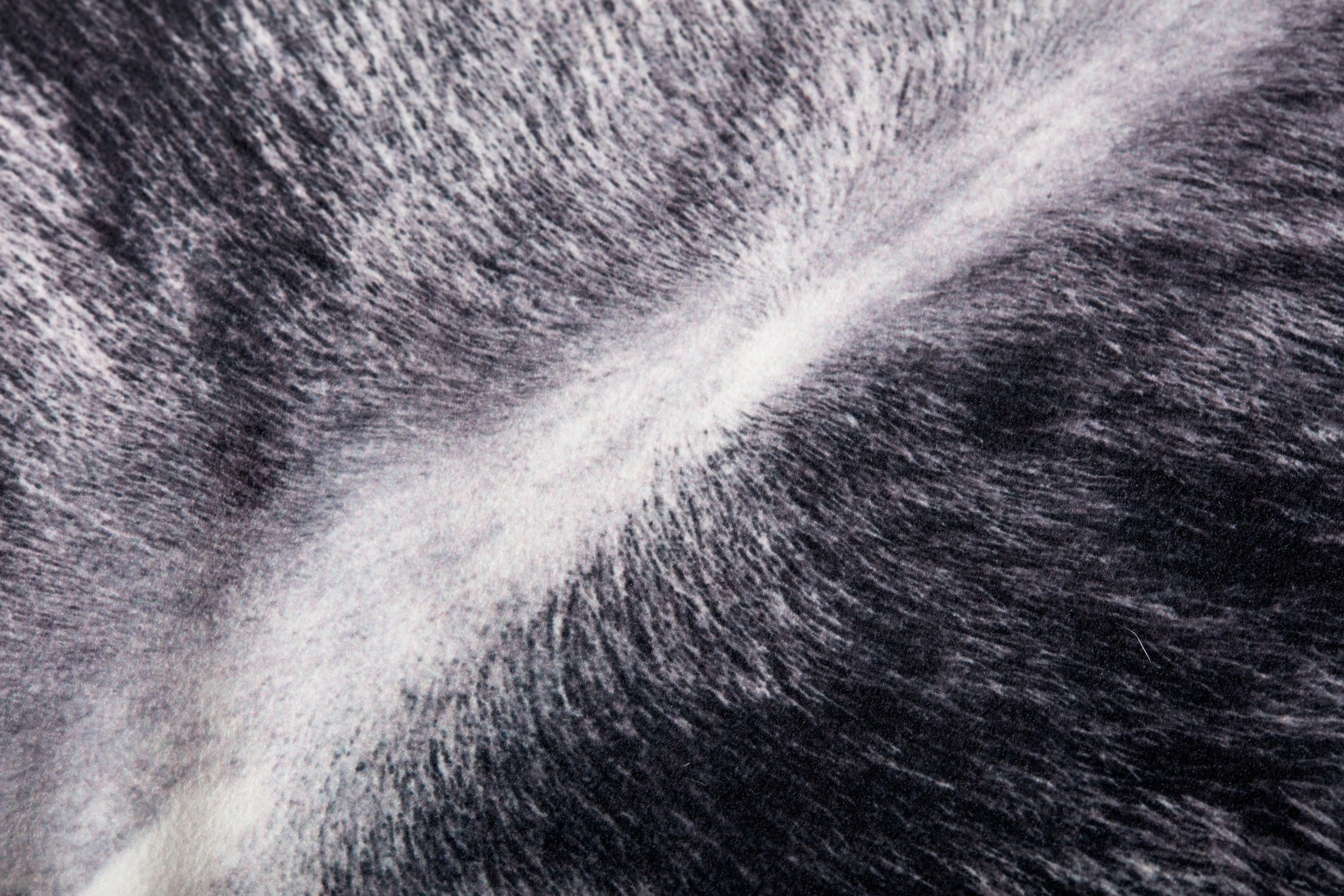 Charcoal Pillow (P0979) - Image 3