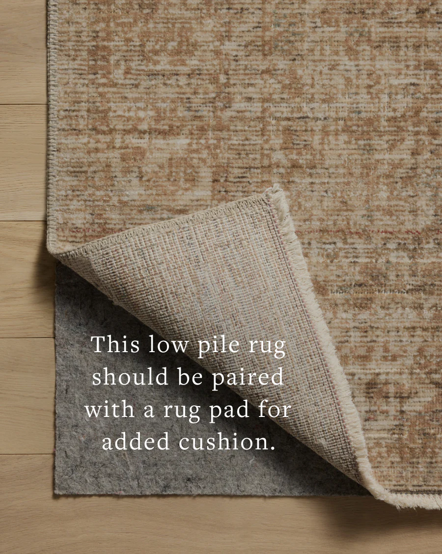 Molly Antique / Multi Rug (MOL-08) - Image 7