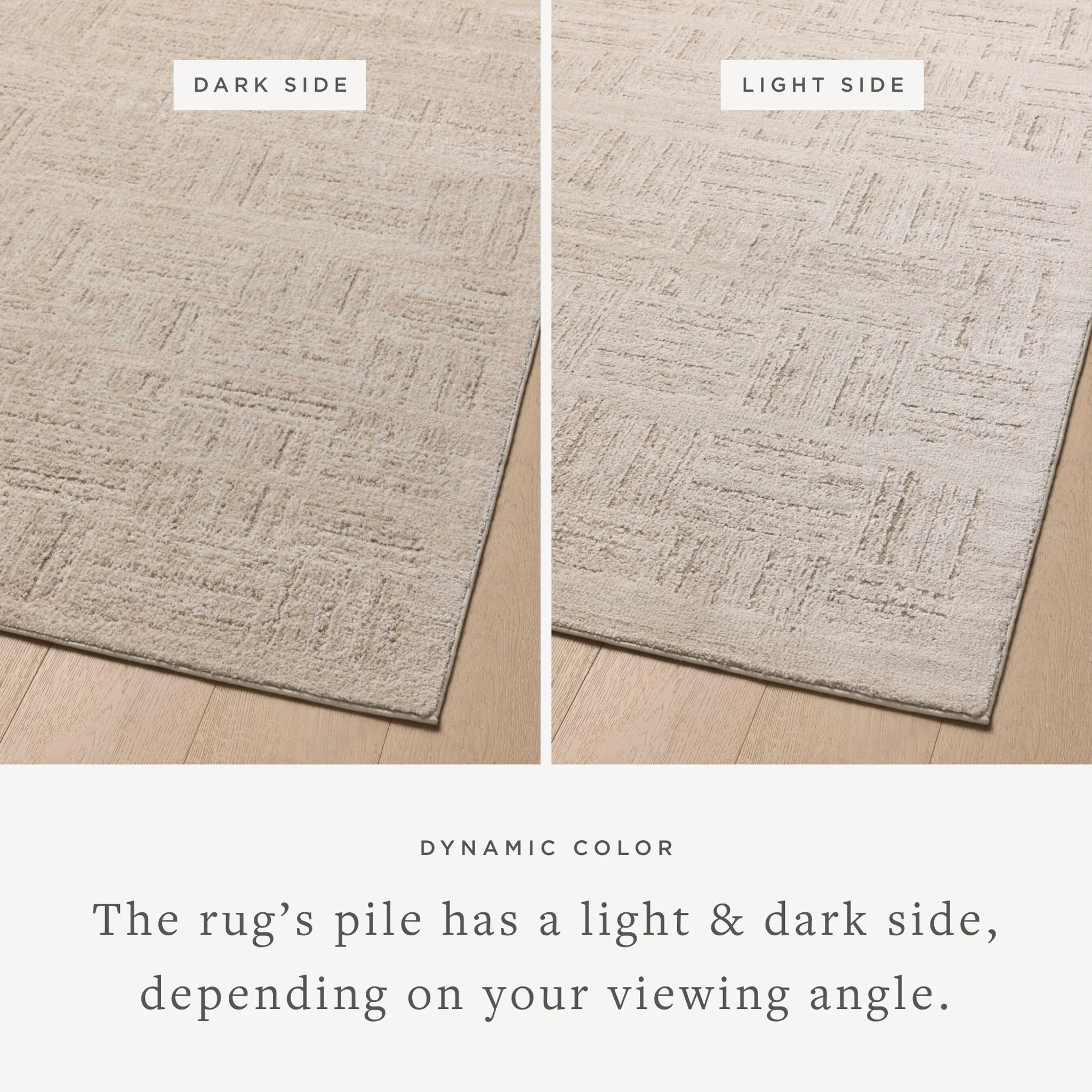 Monty Ivory / Taupe Rug (MOT-01) - Image 3