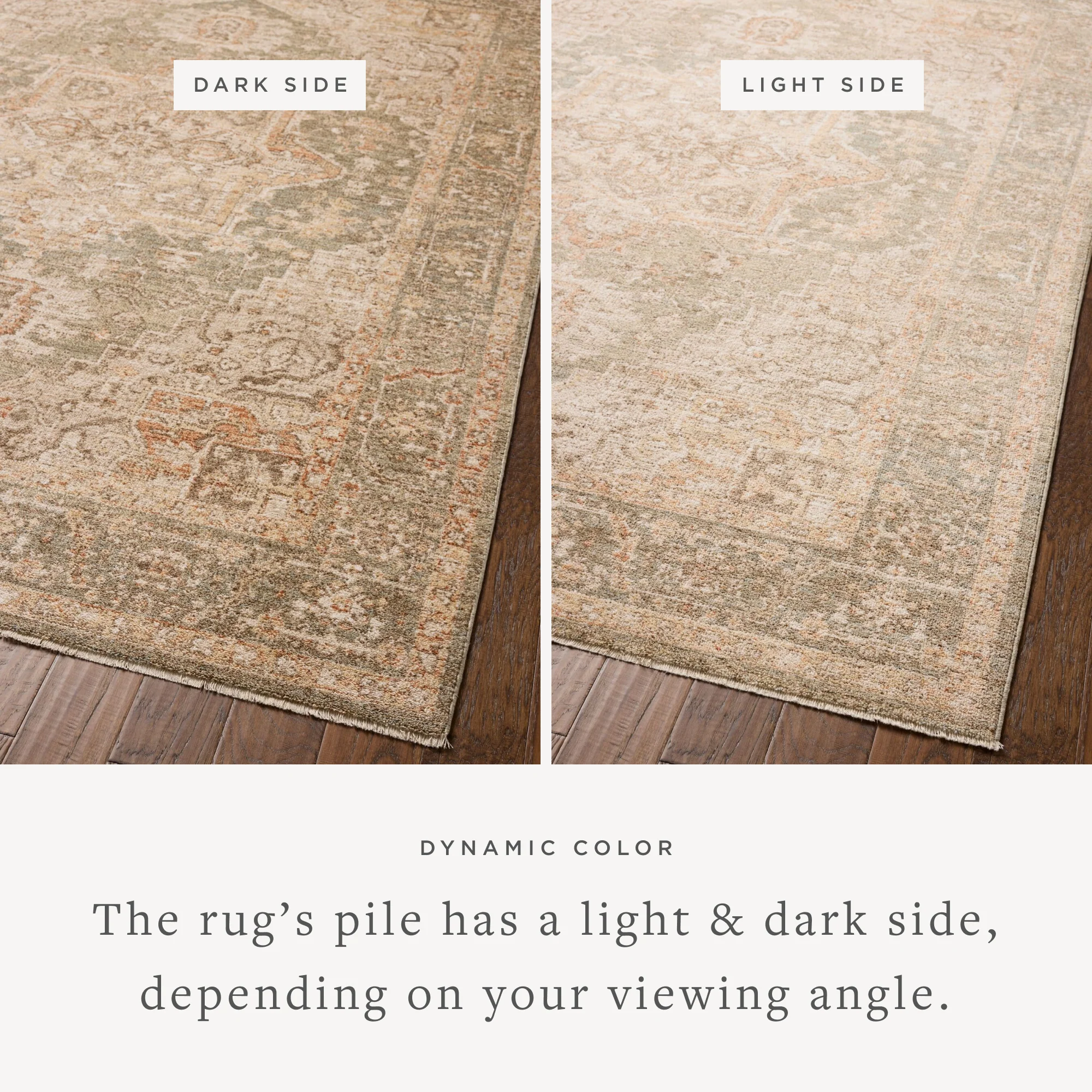 Palma Olive / Spice Rug (PLM-08) - Image 3