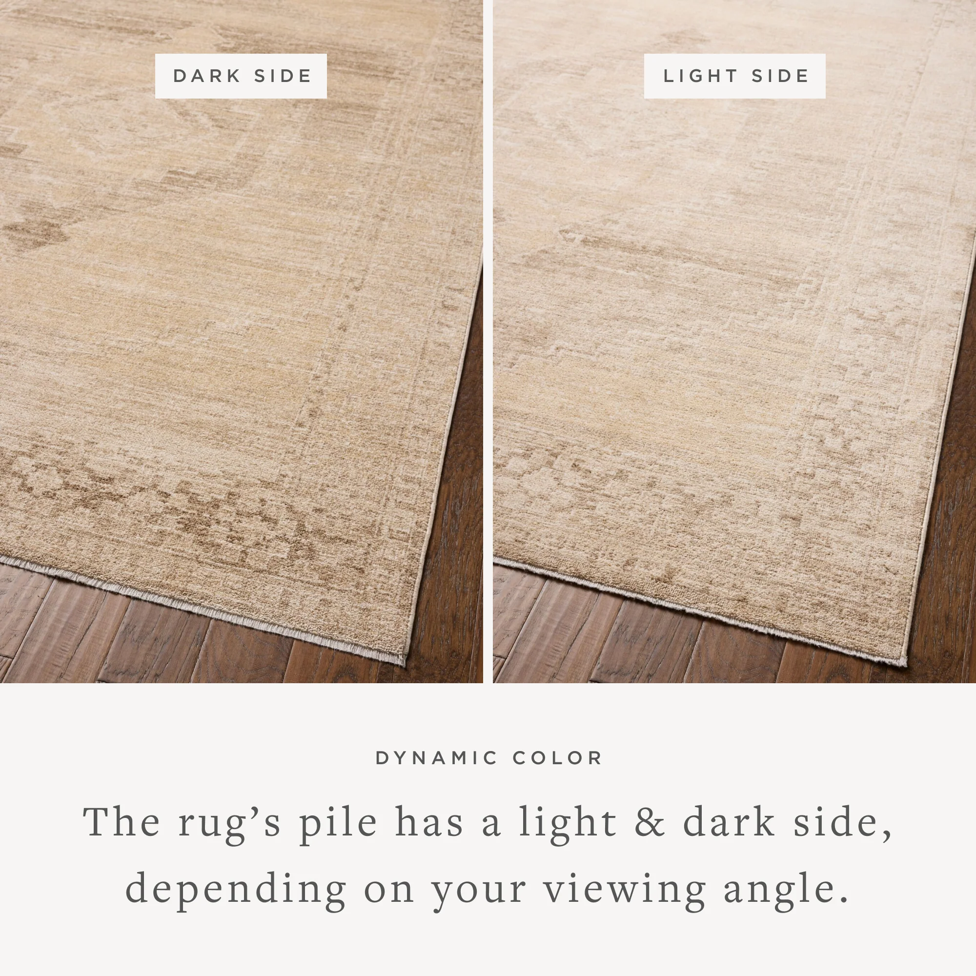 Palma Wheat / Taupe Rug (PLM-07) - Image 3