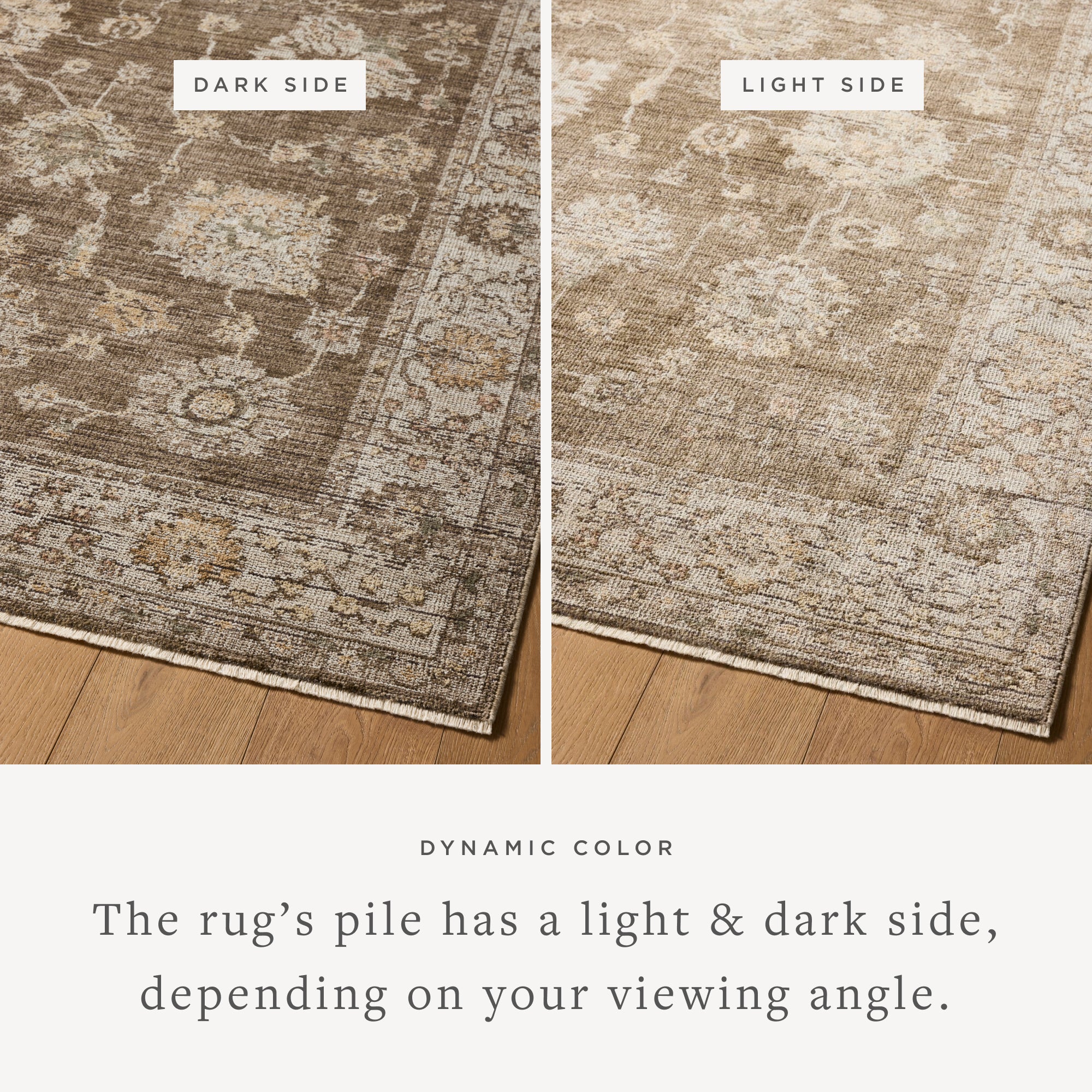 Priscilla Bark / Ivory Rug (PRL-01) - Image 3