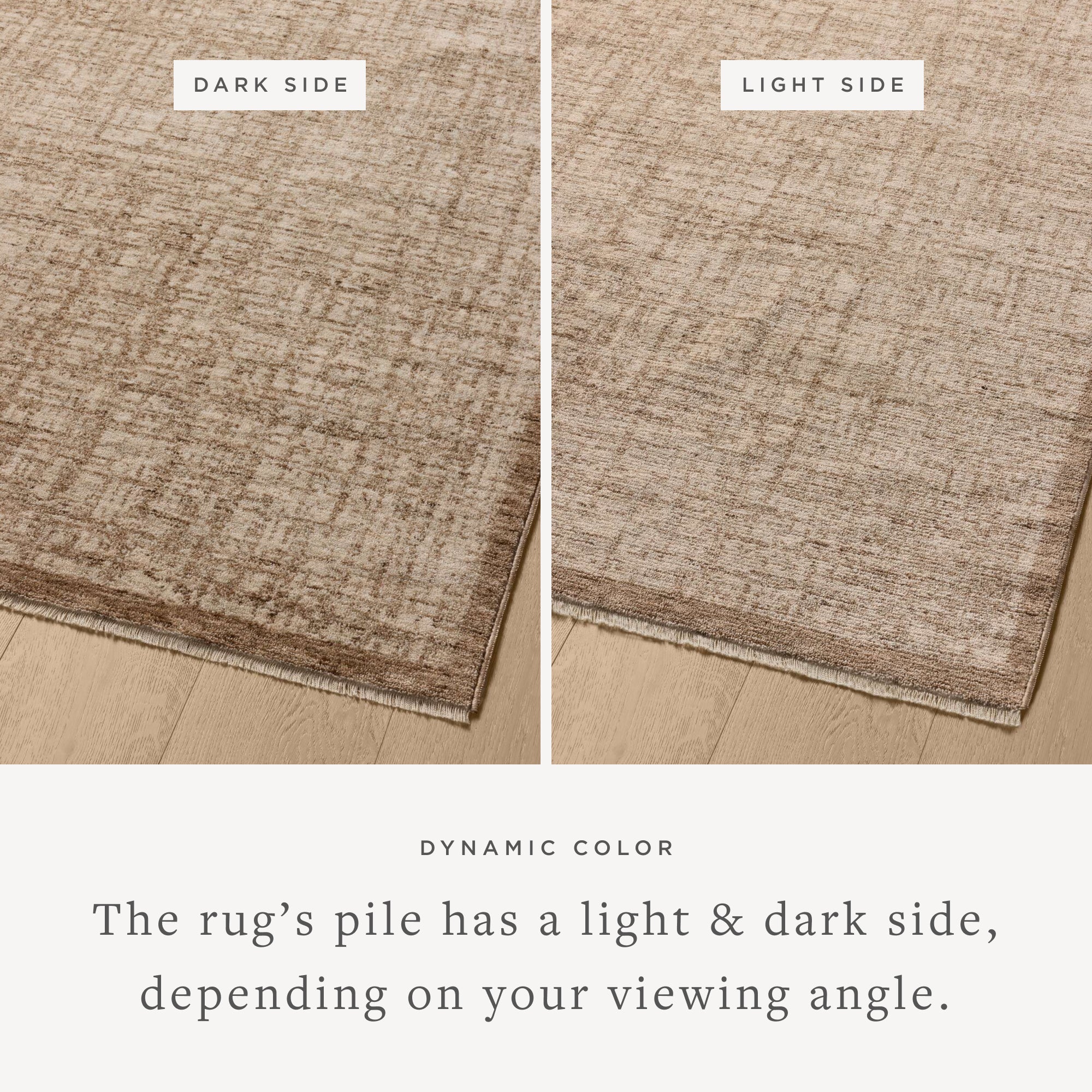 Winston Earth / Bone Rug (WIT-01) - Image 3