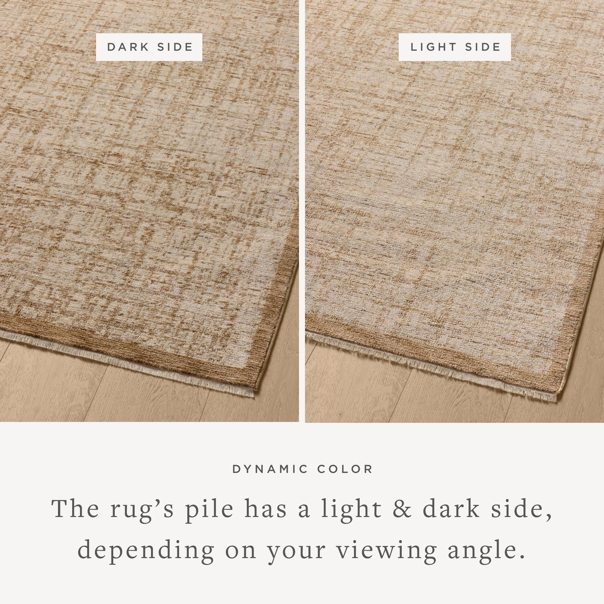Winston Spice / Bone Rug (WIT-01) - Image 3