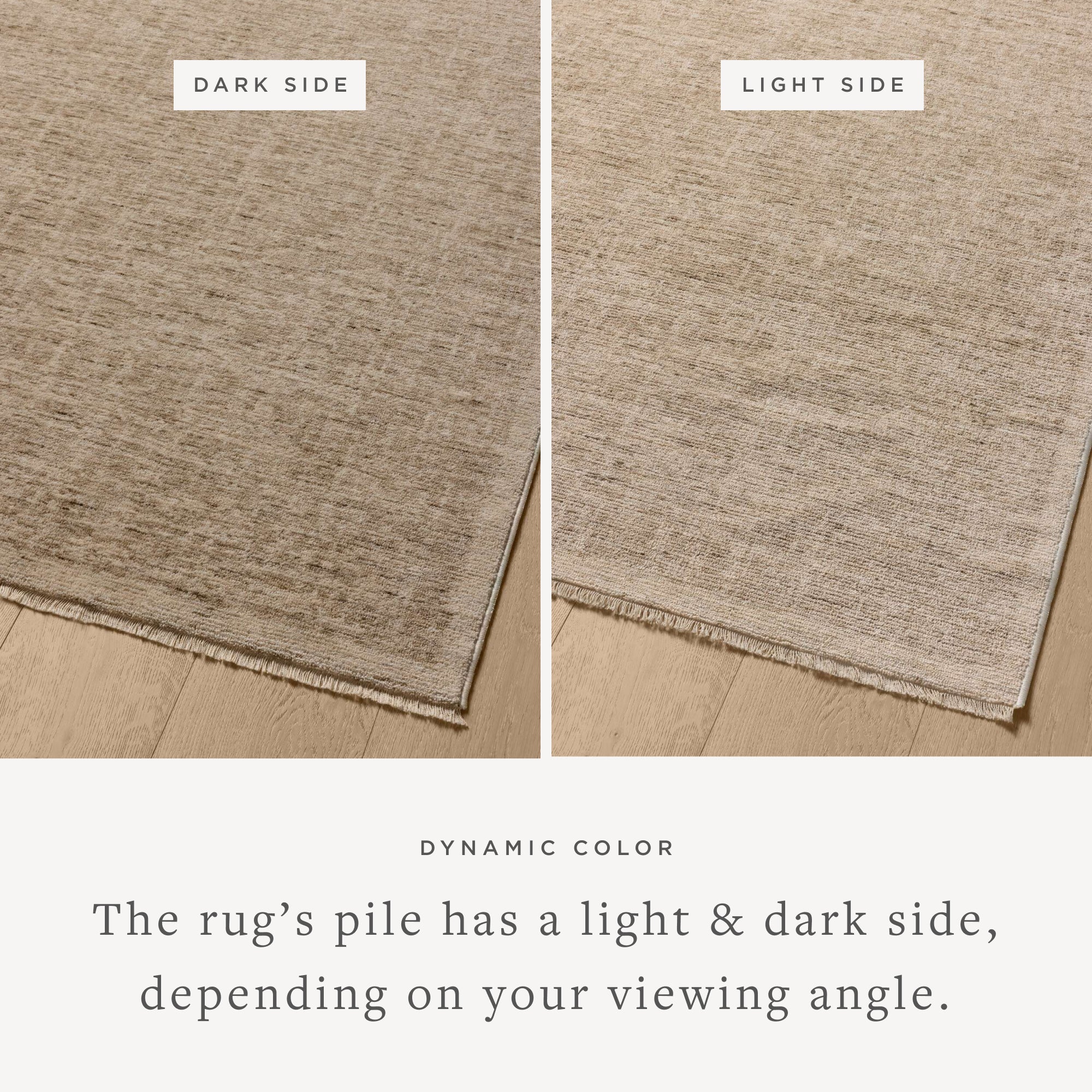 Winston Taupe / Bone Rug (WIT-01) - Image 3