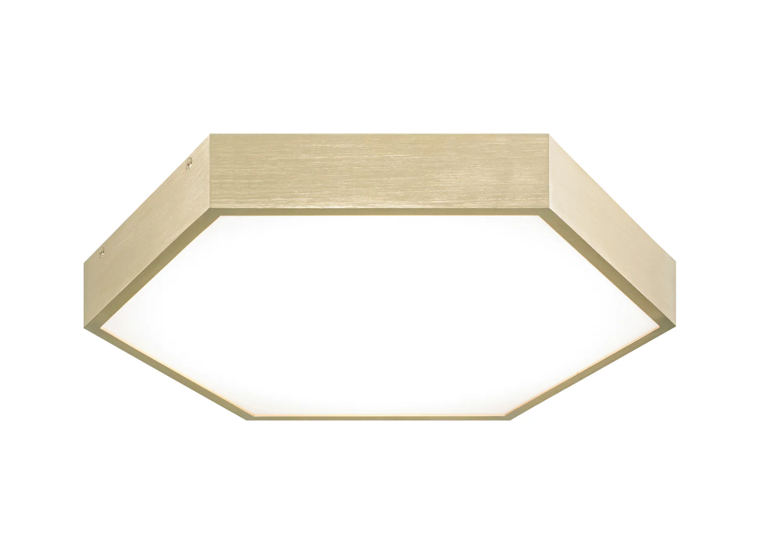 Hexol Flush Mount - Image 4