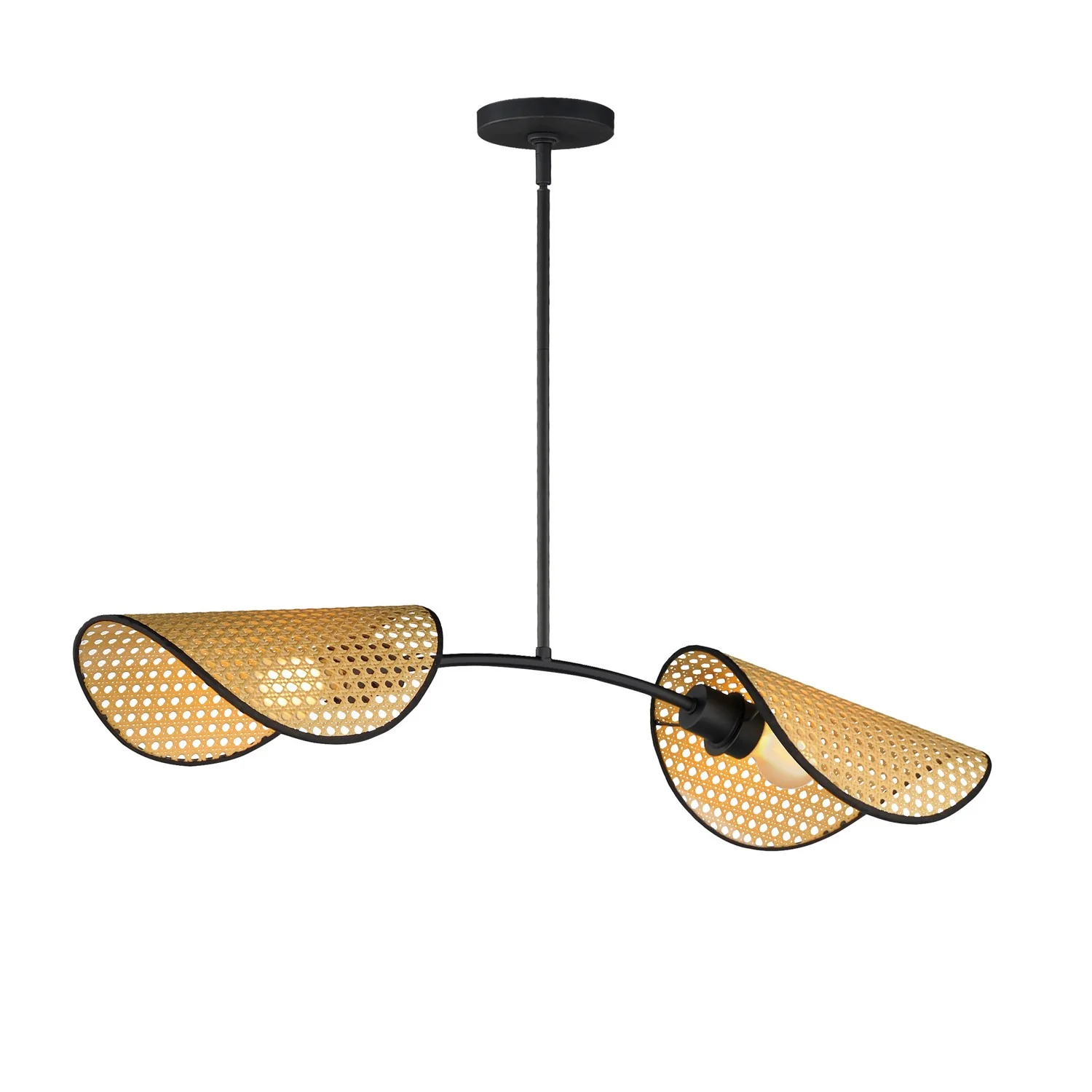Bonnet Linear Suspension