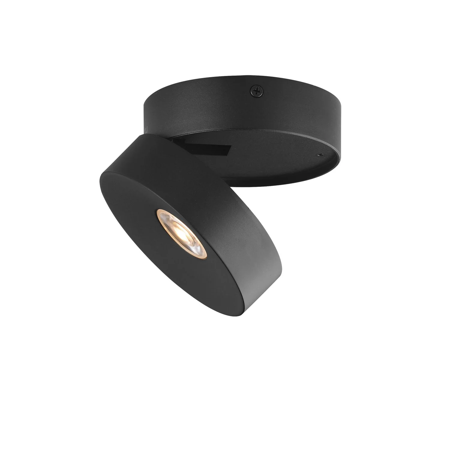 Swinger Outdoor Ceiling Mount