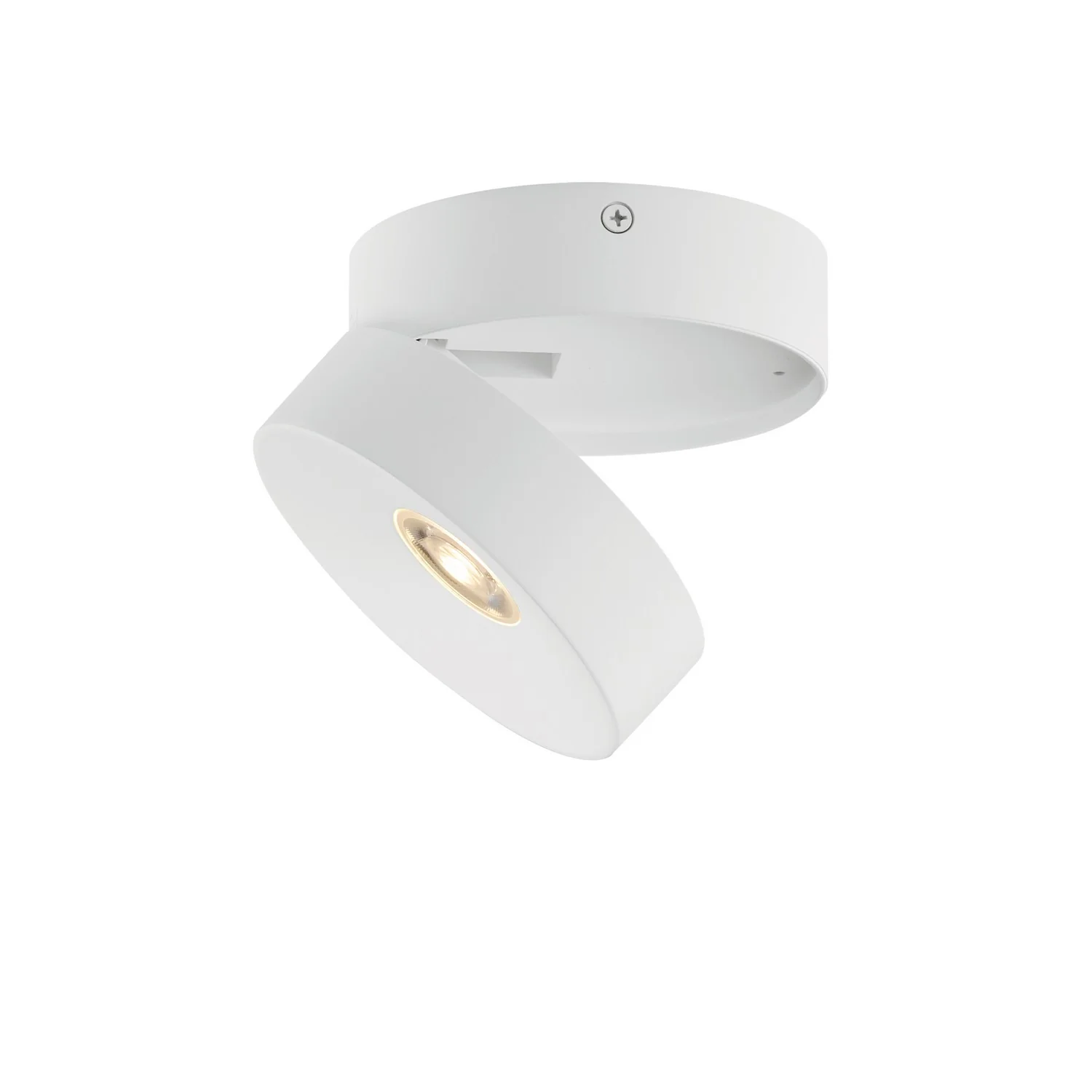 Swinger Outdoor Ceiling Mount - Image 2