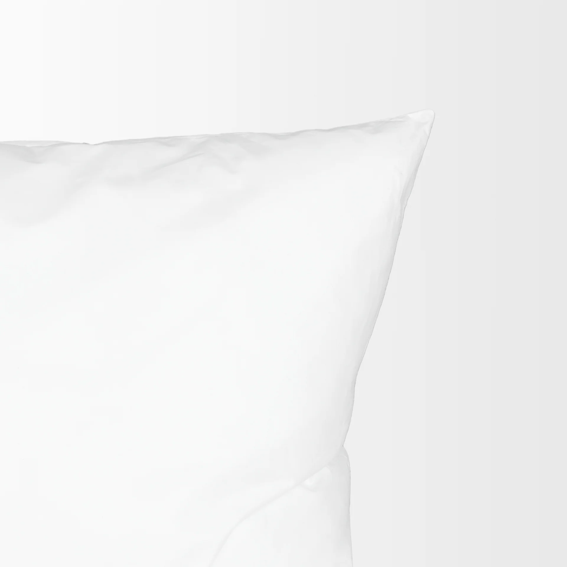 20x20 Pillow Inserts - Image 9