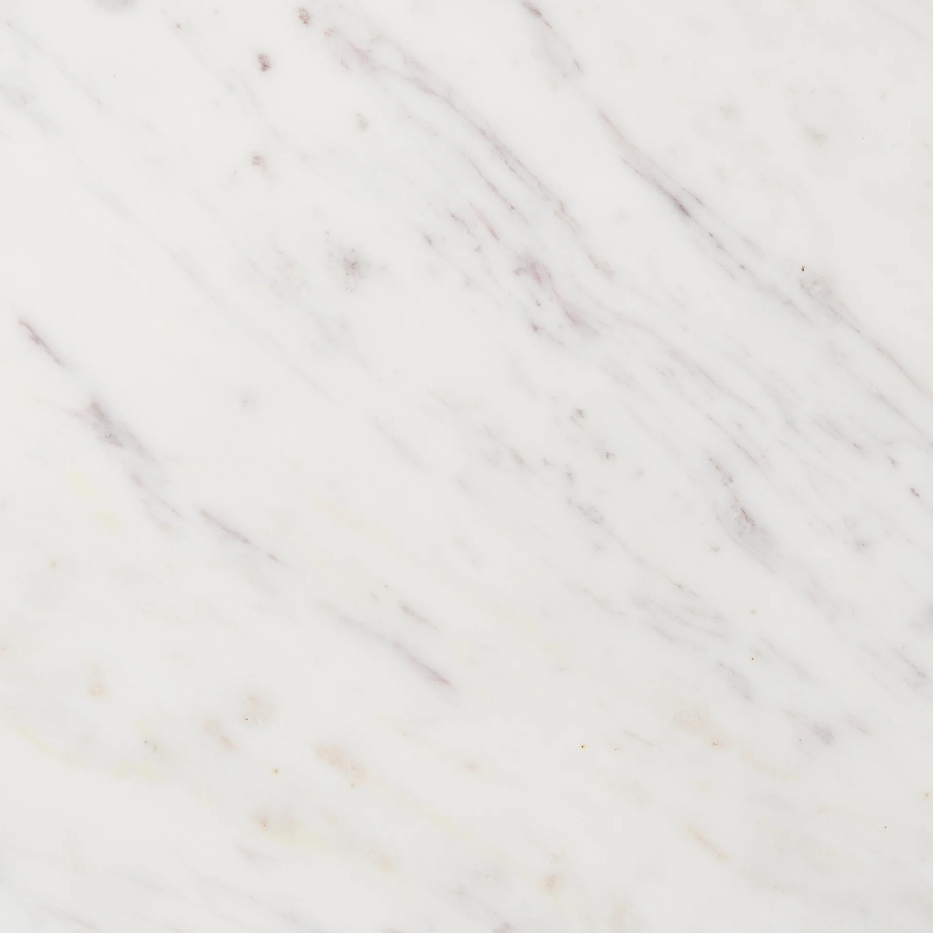 Bianca Coffee Table - Image 4