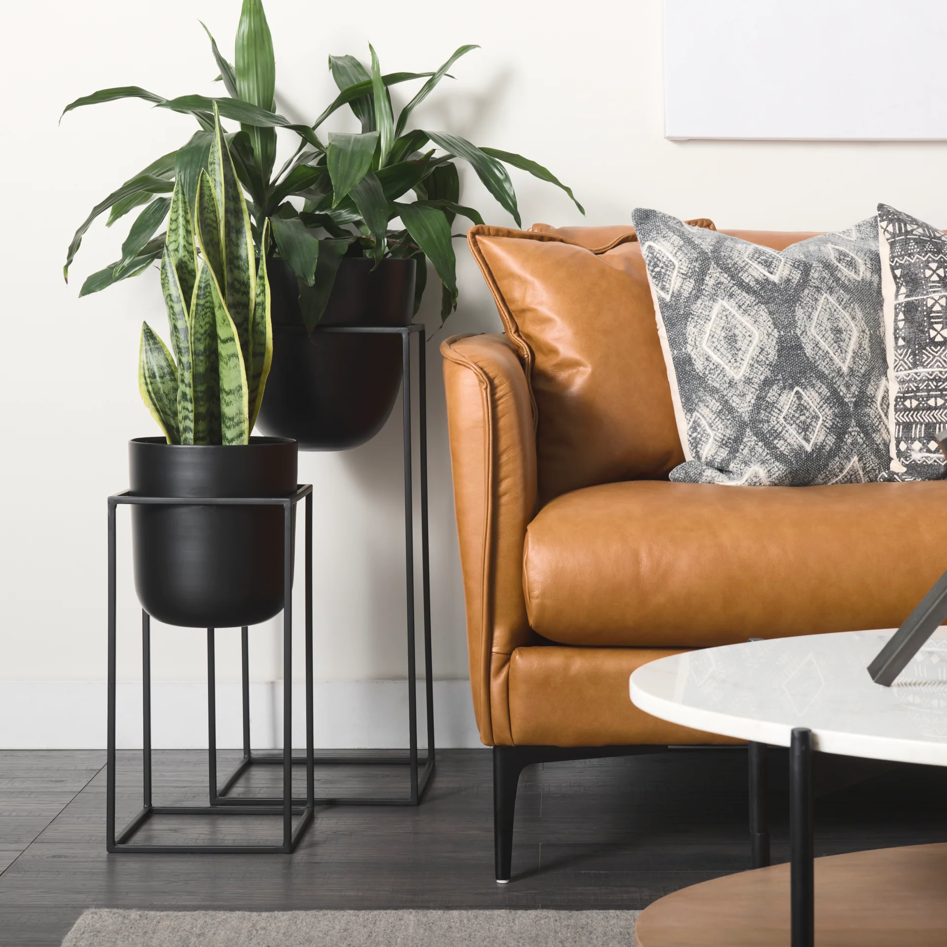 Bumble Plant Stand - Image 4