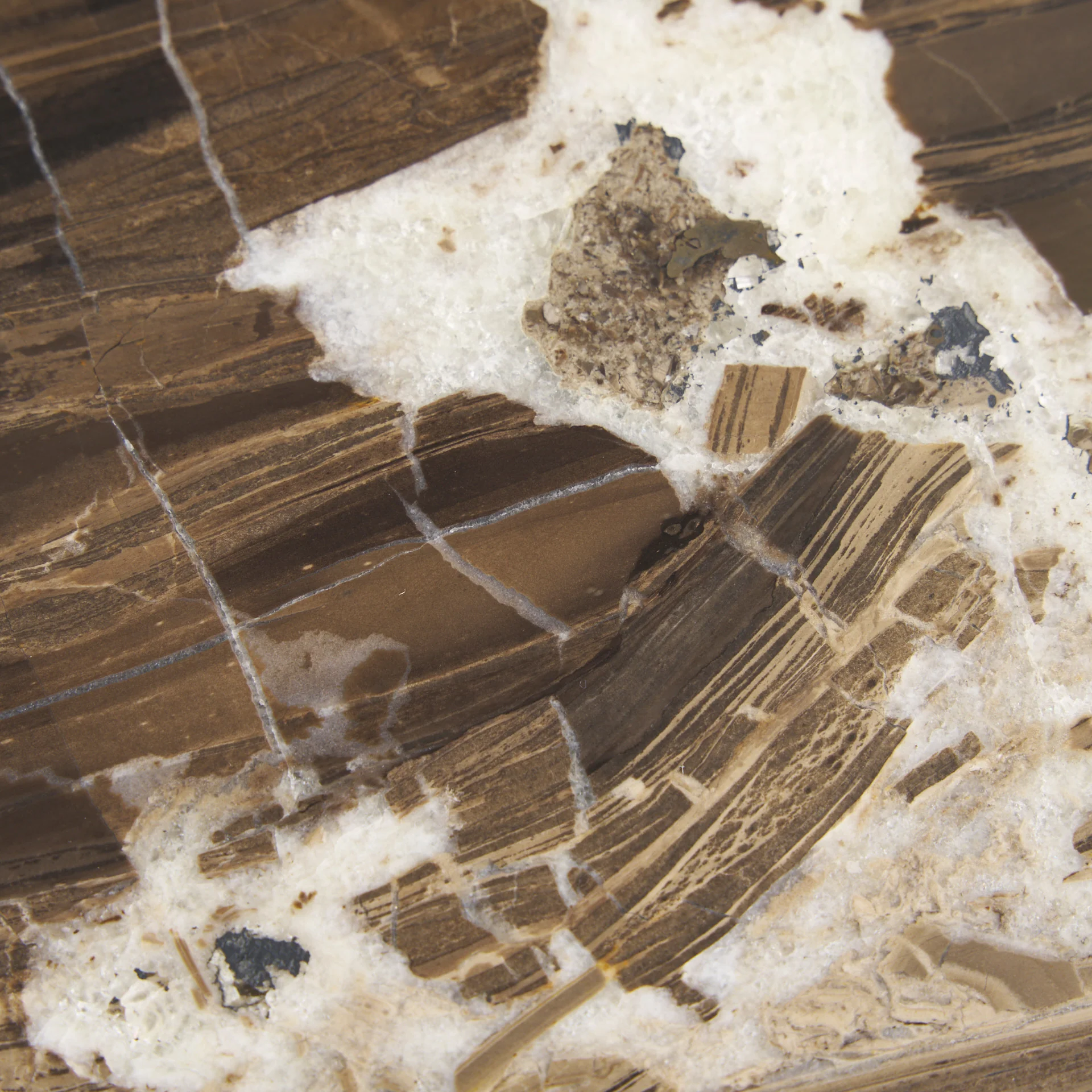 Jovia Coffee Table - Image 16