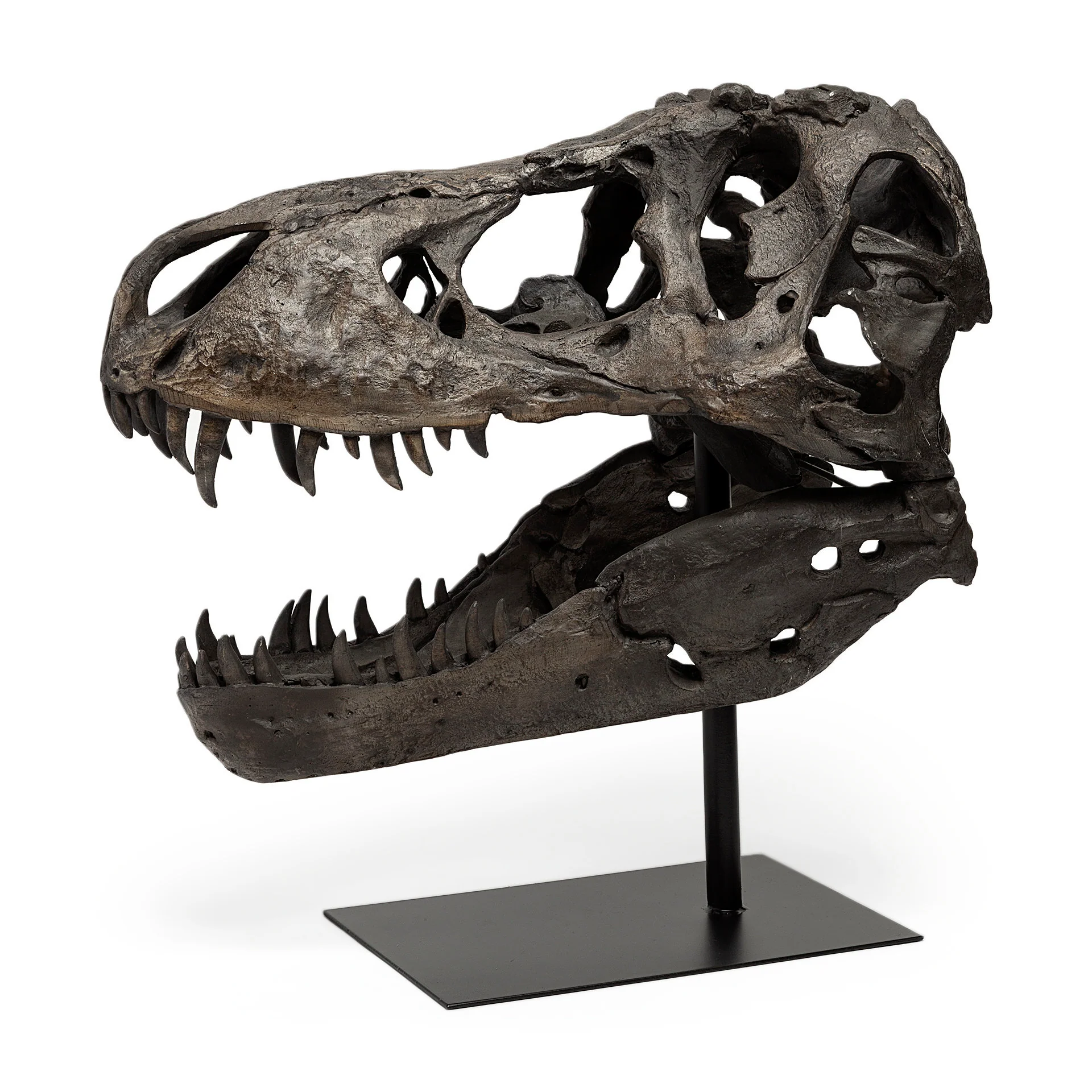 Jurassic Object