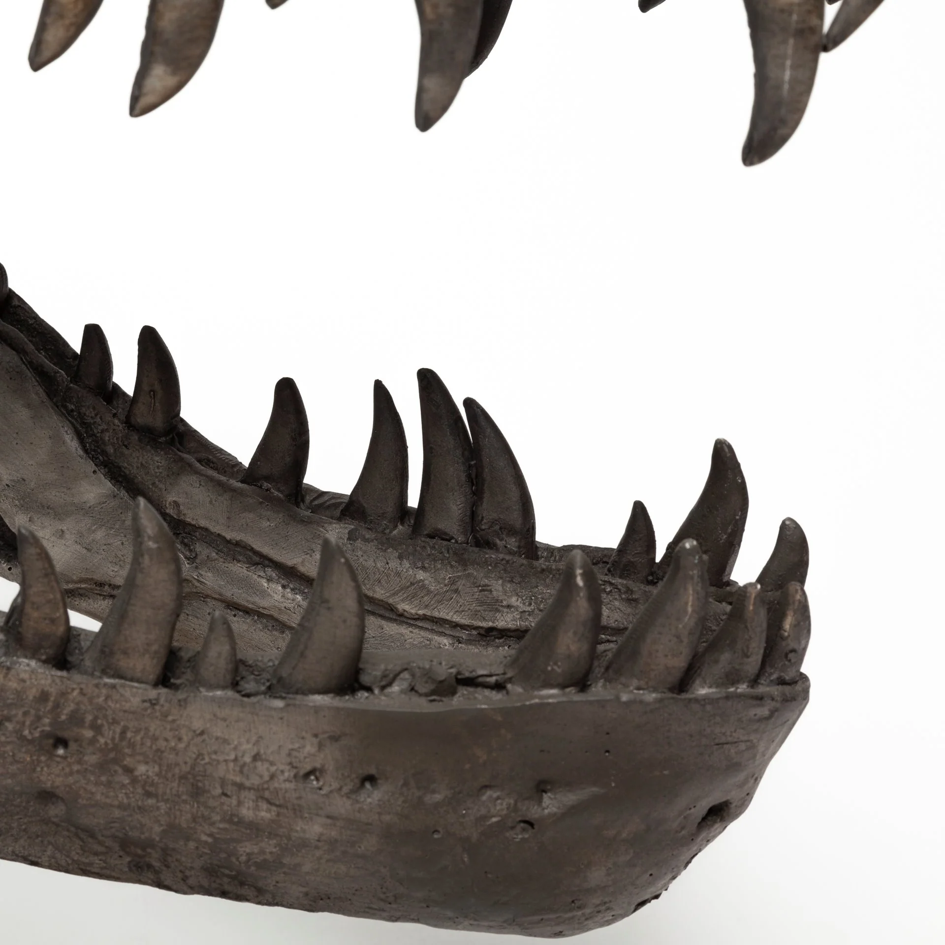Jurassic Object - Image 11