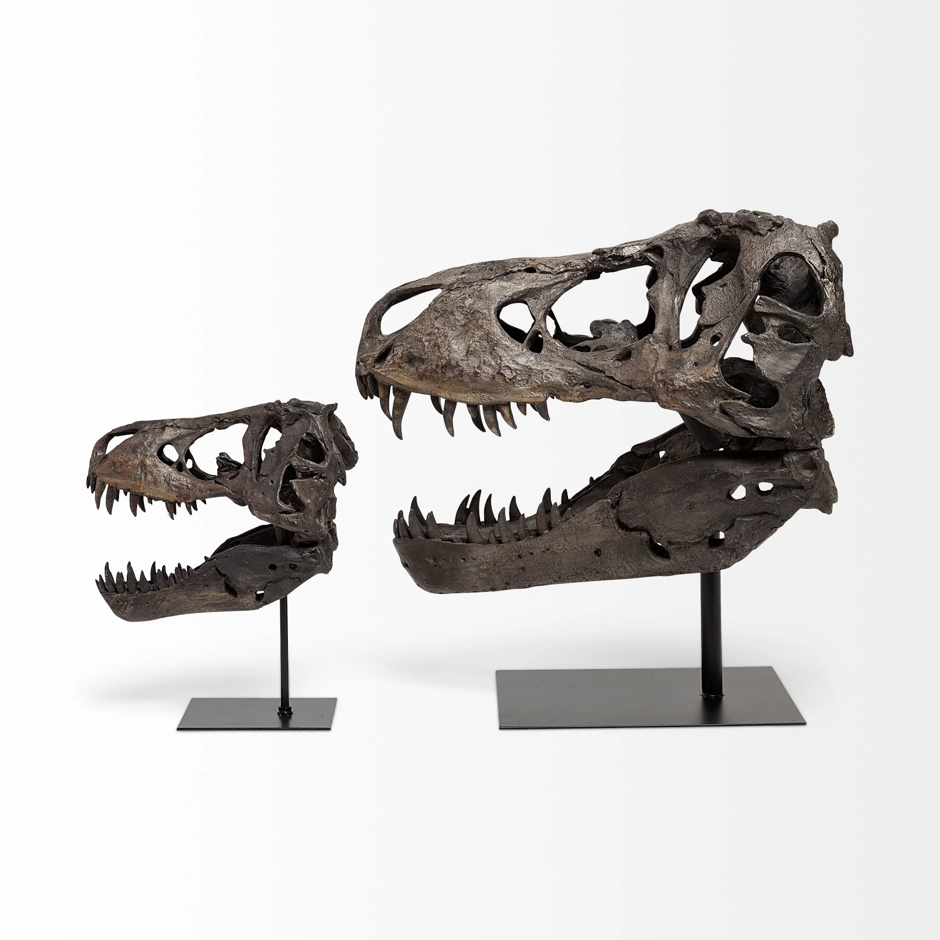 Jurassic Object - Image 17