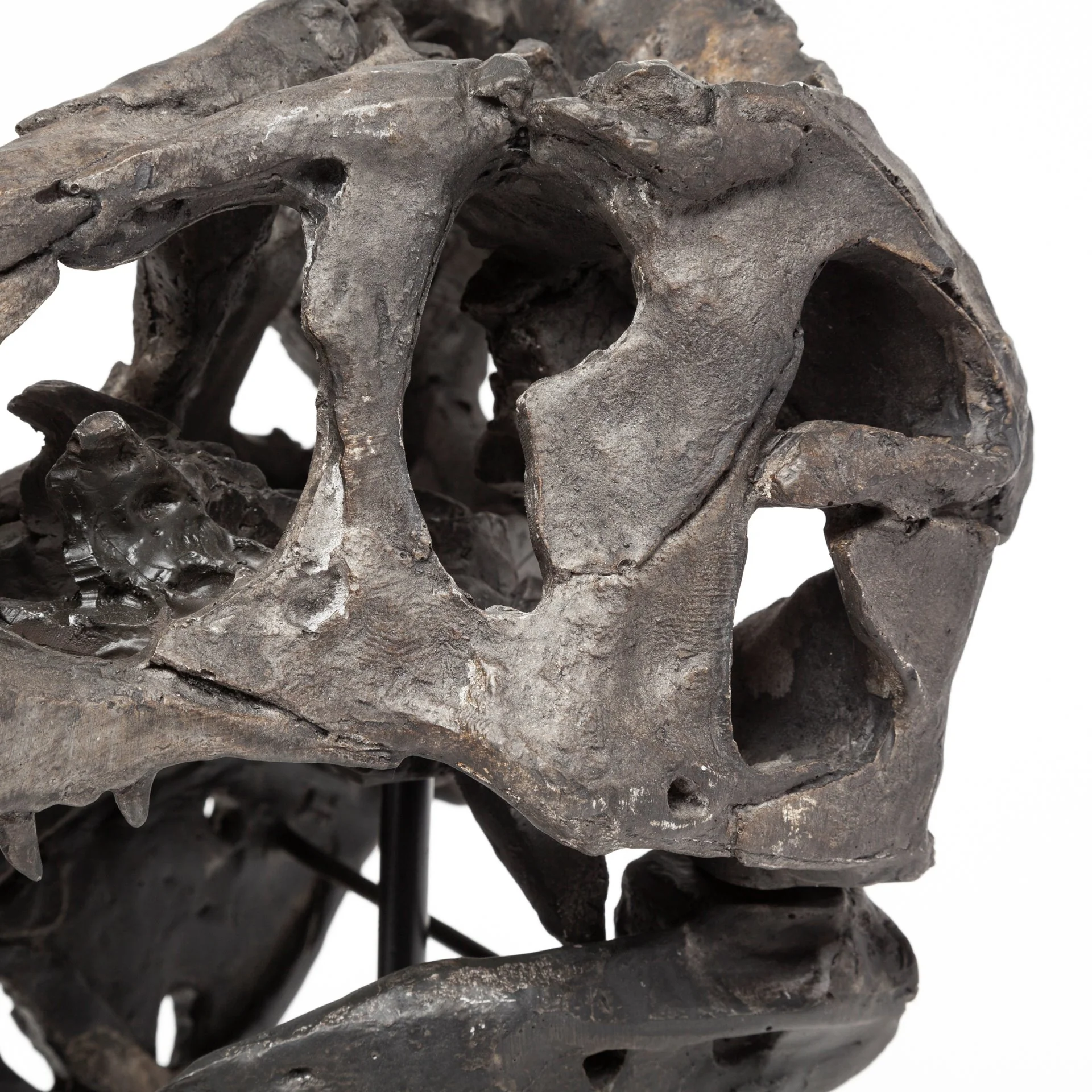 Jurassic Object - Image 18