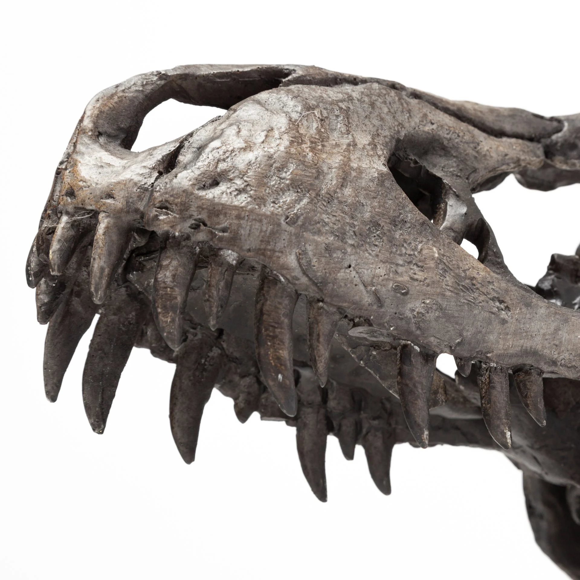 Jurassic Object - Image 19