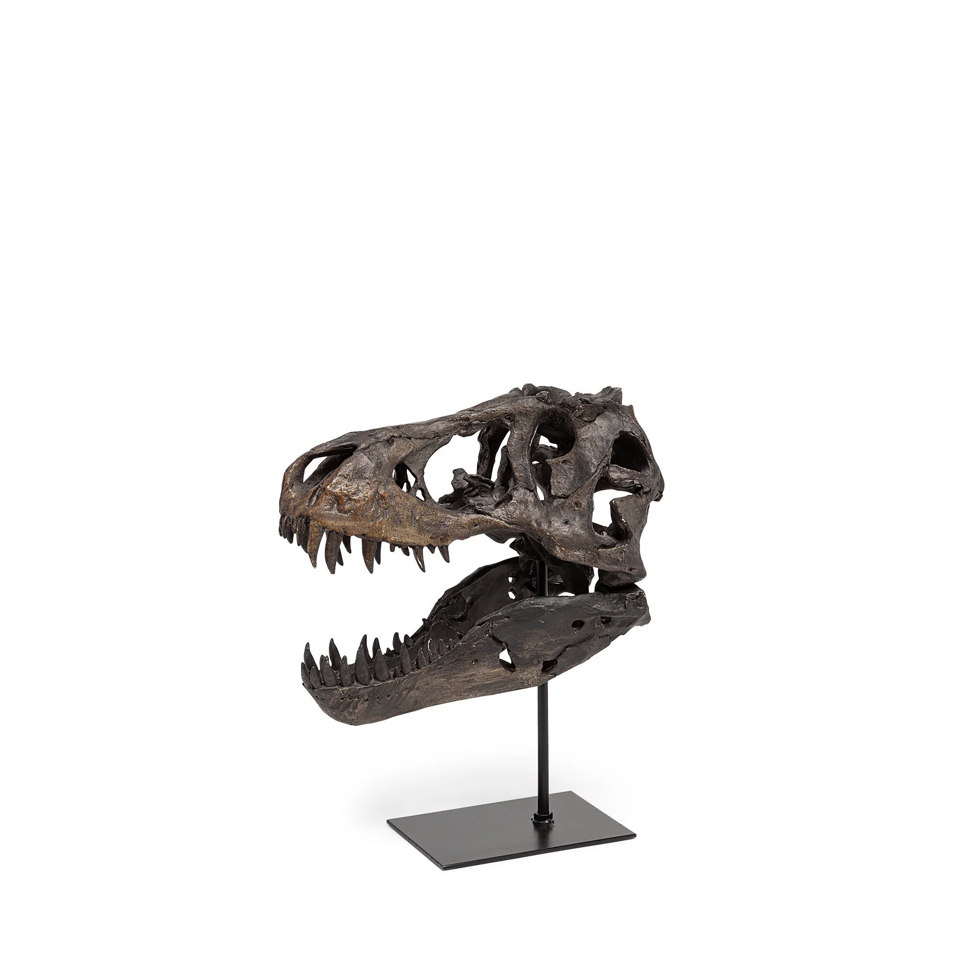 Jurassic Object - Image 2