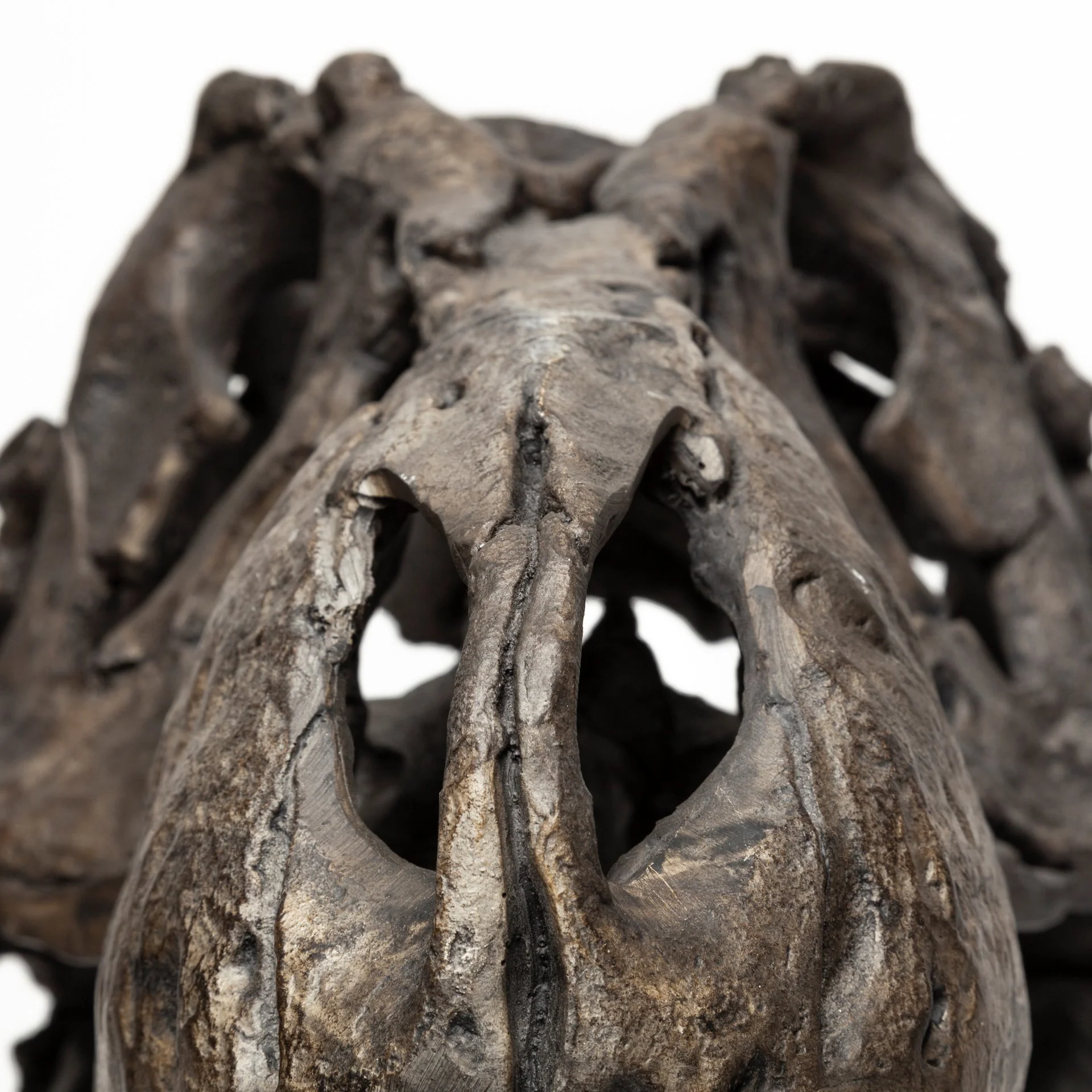 Jurassic Object - Image 9