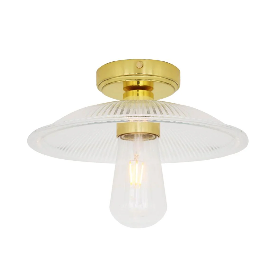 Gal Ceiling Light