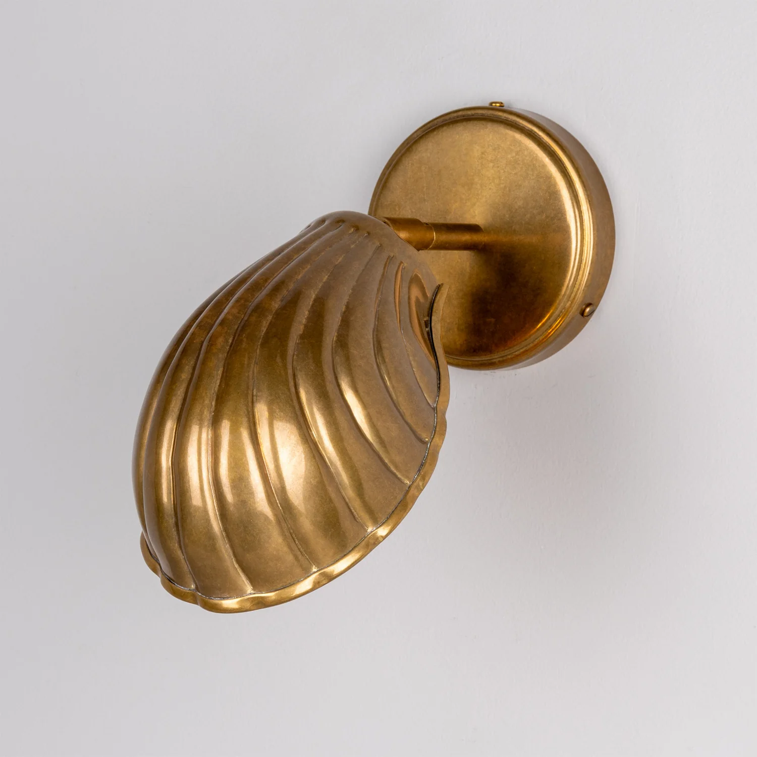 Shell Wall Sconce