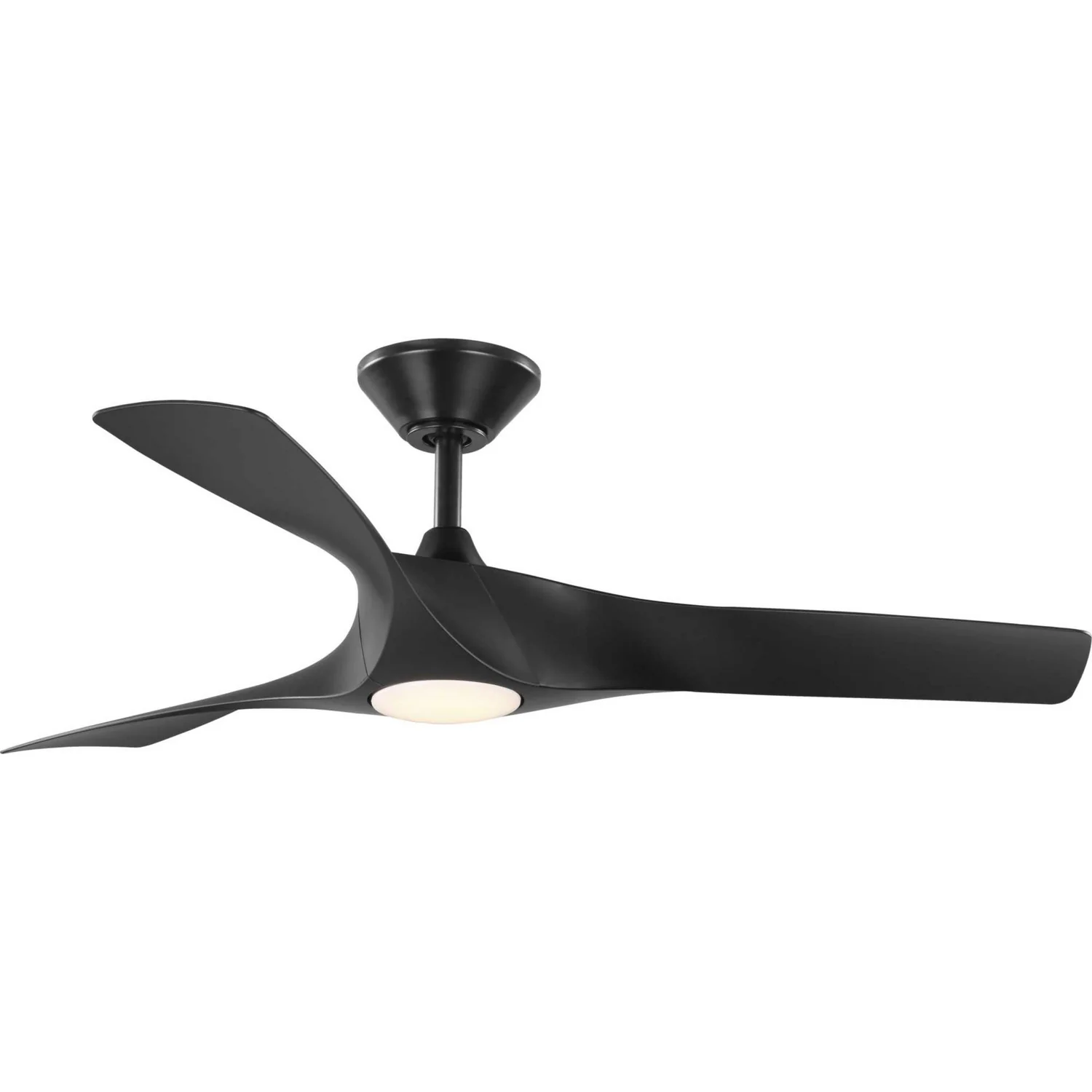Ryne Damp Location Fan - Image 2