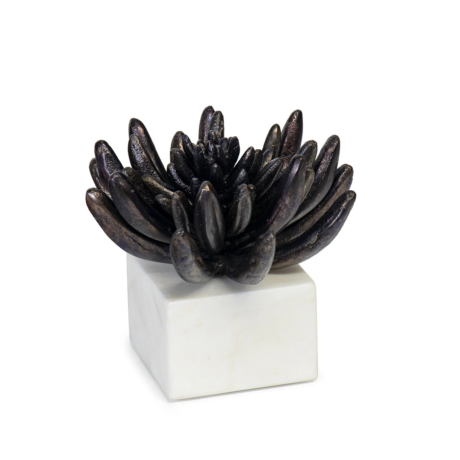 Succulent Sculpture - Image 4