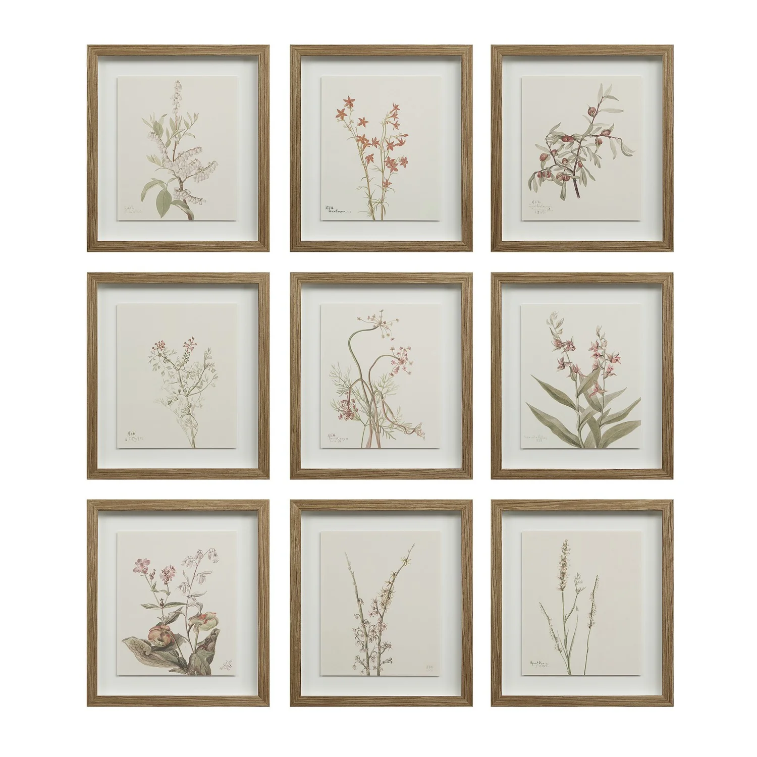 Crema Wall Decor