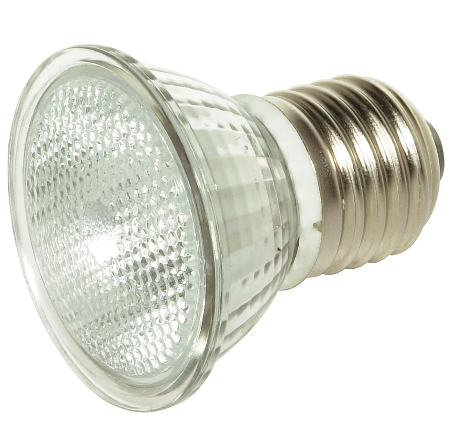 Light Bulb S4623