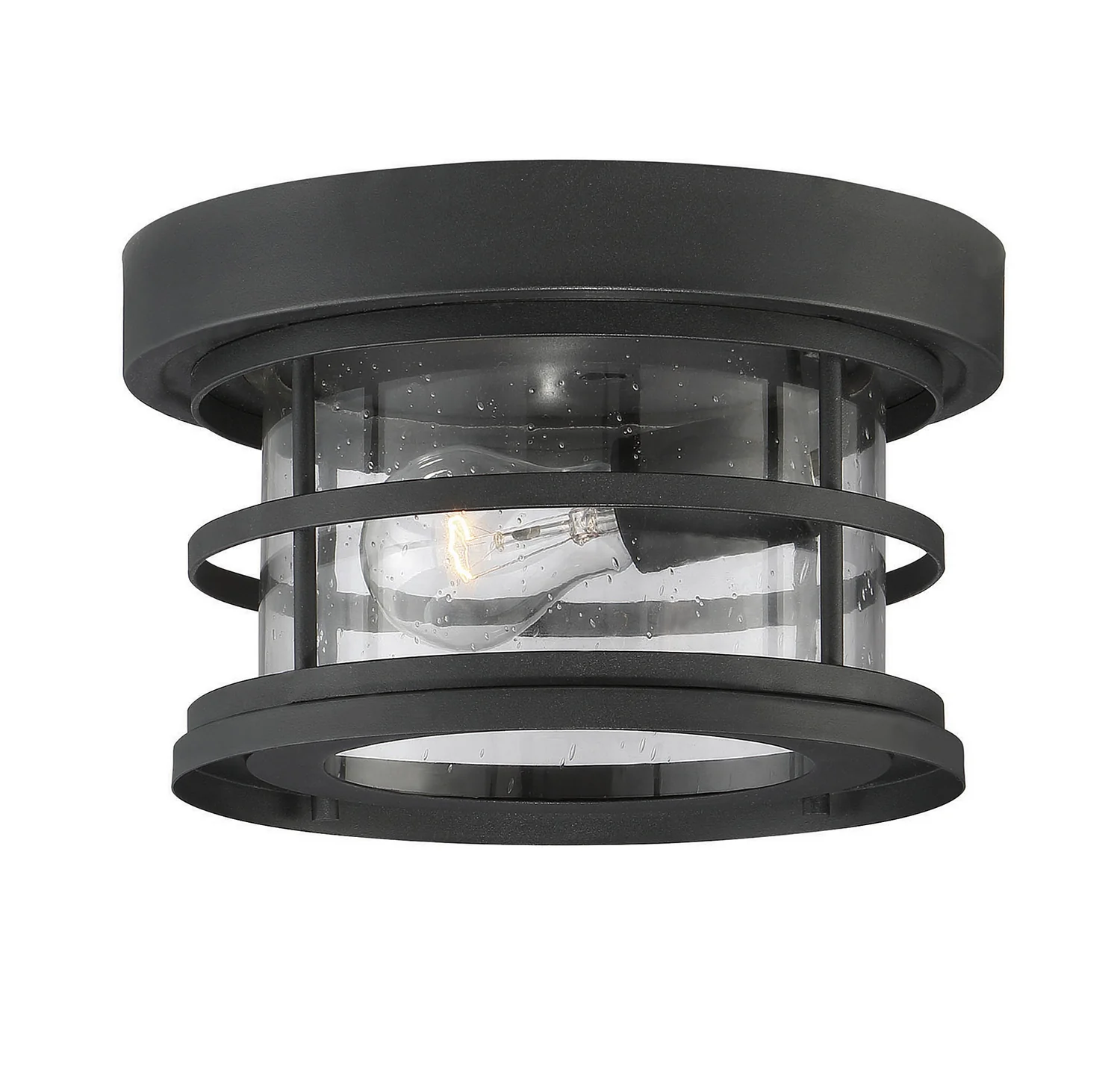 Barrett Outdoor Ceiling Mount