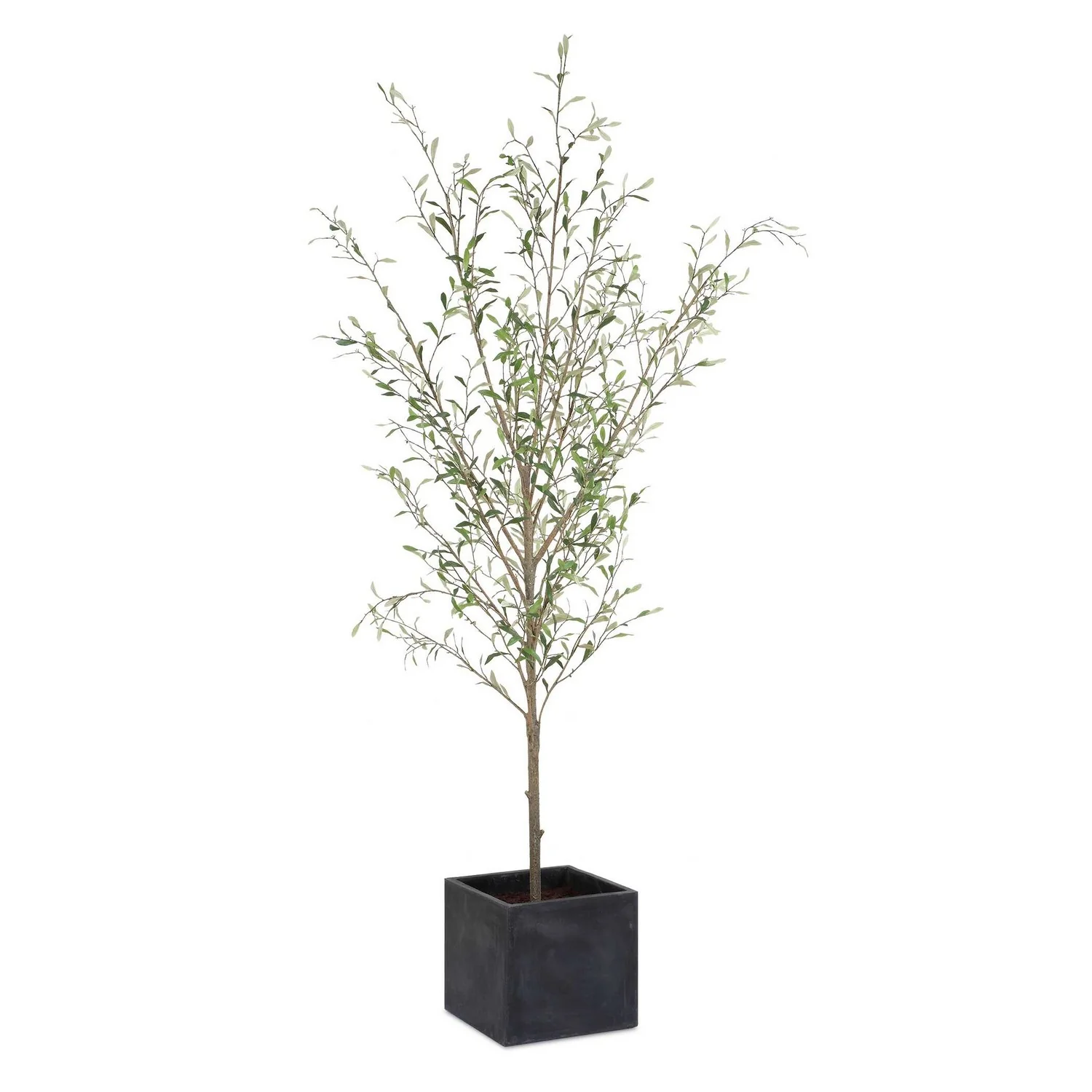 Abundance Tree