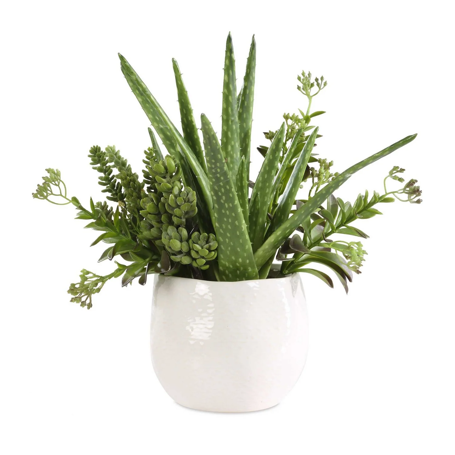 Sundown Succulent Planter