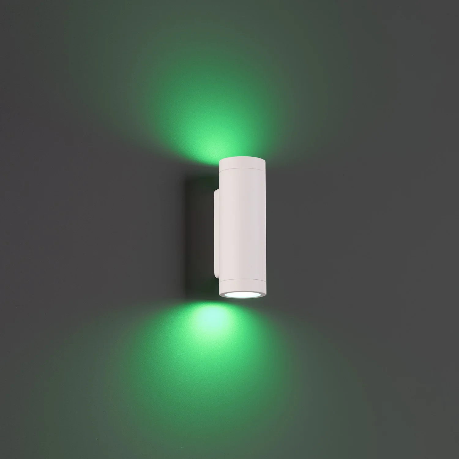 Colorscaping LED Landscape Wall Mount - Image 2