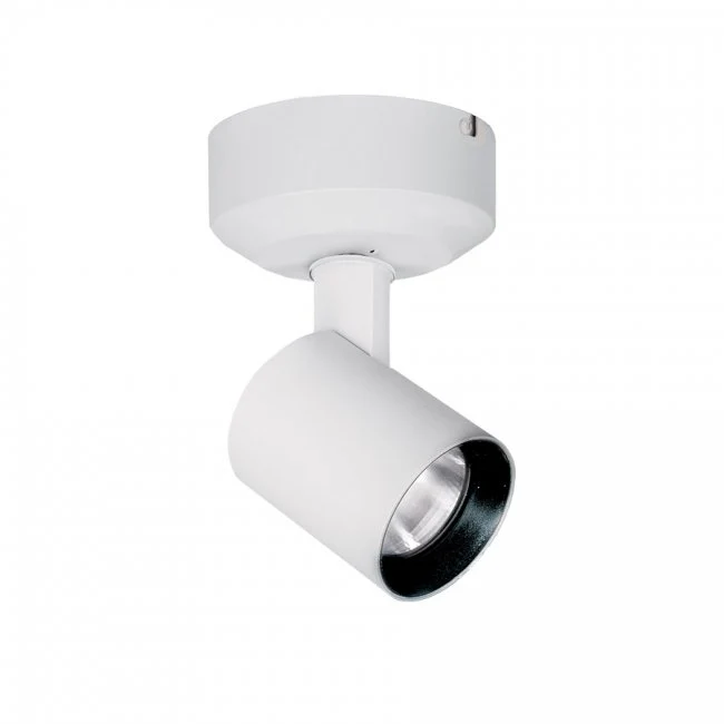 Lucio Spot Light - Image 105