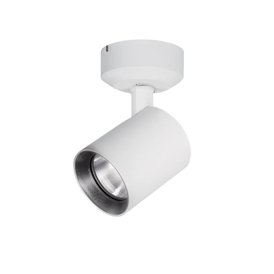 Lucio Spot Light - Image 31