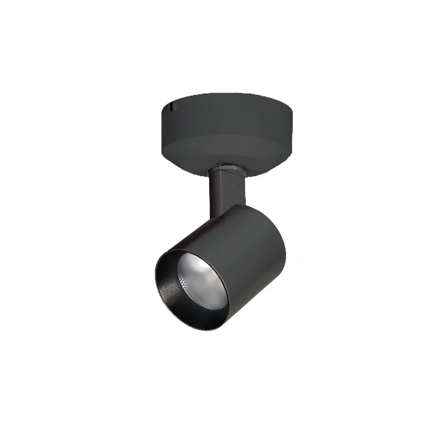 Lucio Spot Light - Image 46