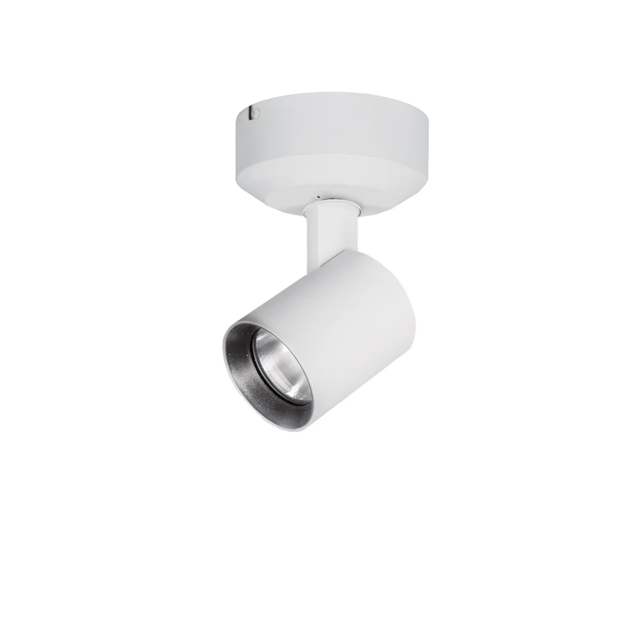 Lucio Spot Light - Image 77