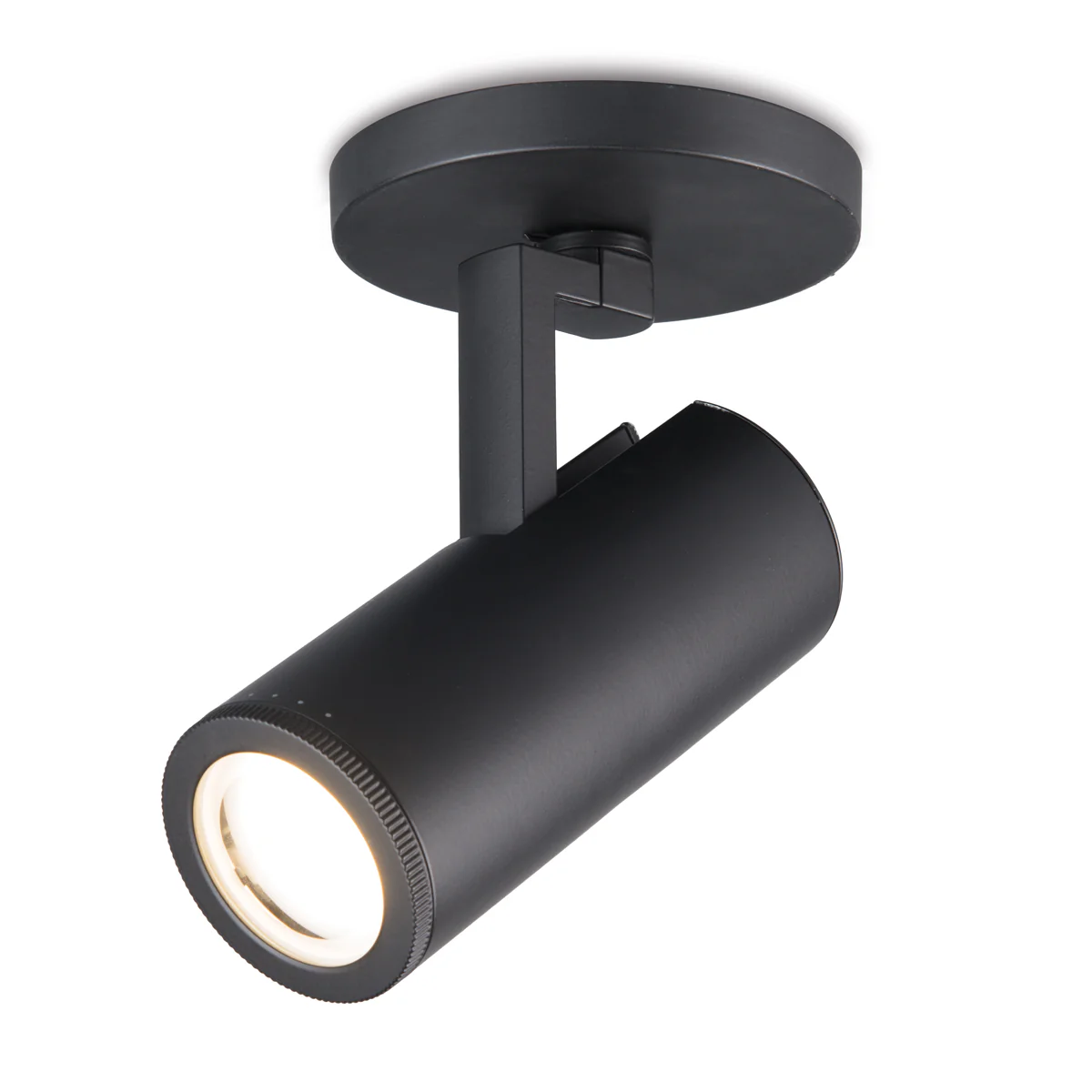 Paloma Spot Light