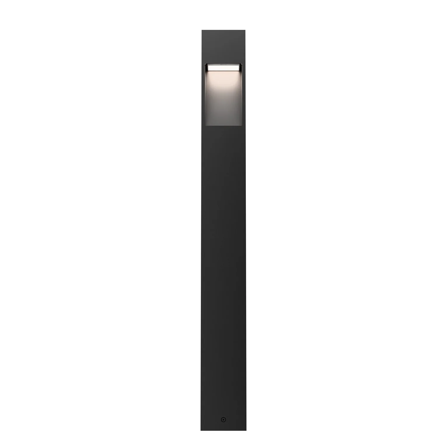 Standup LED Path Light